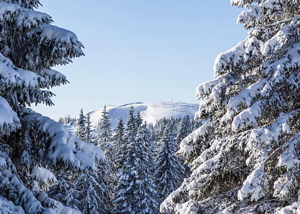 Apartament Lotti + Hochschwarzwald Card *