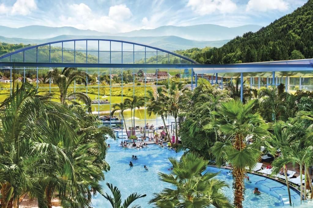 Apartment Lotti + Hochschwarzwald Card Titisee-Neustadt