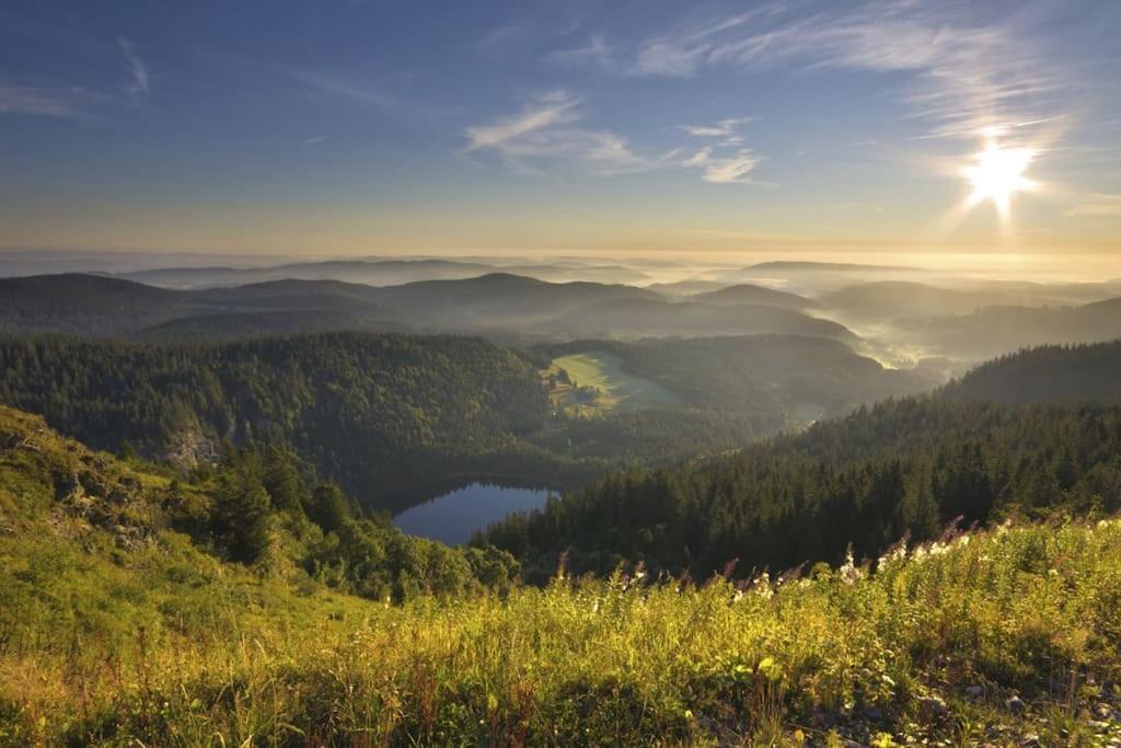 Apartament Lotti + Hochschwarzwald Card *
