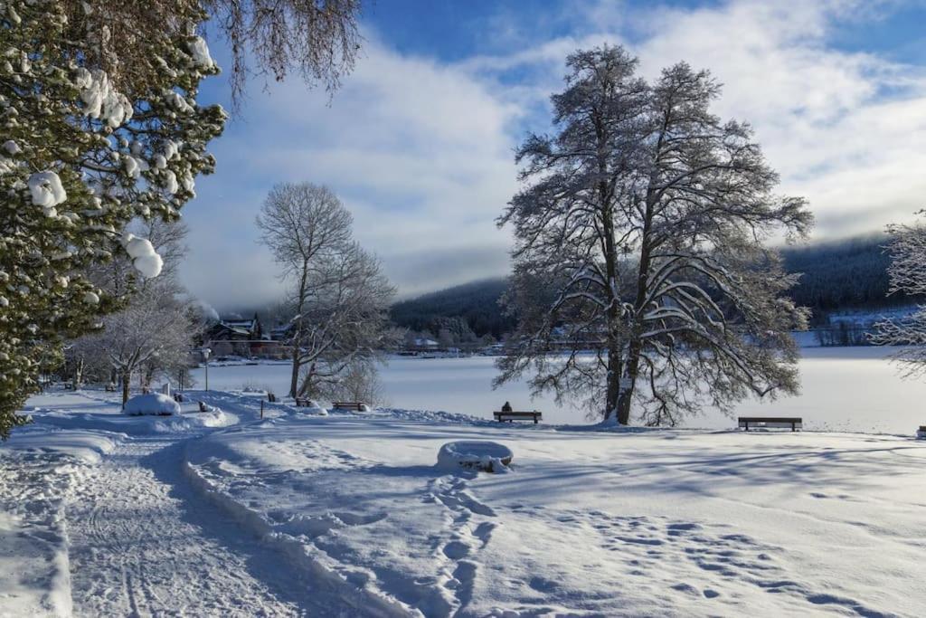 Lotti + Hochschwarzwald Card * Titisee-Neustadt